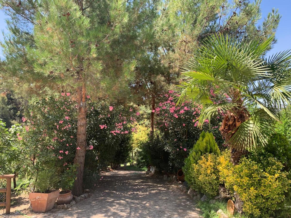 Cortijo La Julia Villa Orcera Luaran gambar